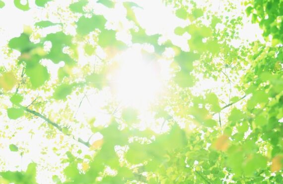 痛くない、歯を抜かない矯正治療で口元を整える｜徳重駅近くの歯医者・笑顔あふれる徳重なかよし歯科